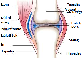 FÁJDALOMCSÖKKENTÉS - Bioptron ízületi kezelés